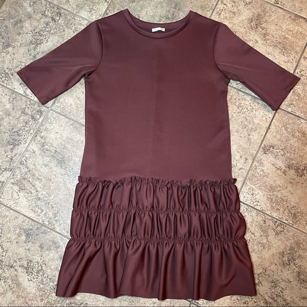 ZARA WB Collection Maroon Drop WaistShort Sleeve Ruffle Shift Dress